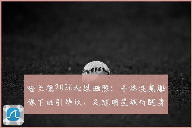哈兰德2026社媒晒照:手捧浣熊雕像下机引热议,足球明星旅行随身纪念品大揭秘