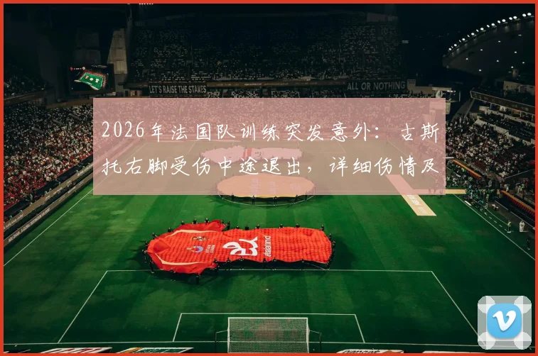 2026年法国队训练突发意外:古斯托右脚受伤中途退出,详细伤情及对球队备战影响分析
